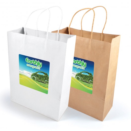 Express Paper bags